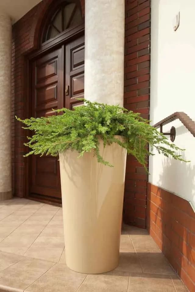 Grande Pots de fleurs d'intérieur à Casablanca